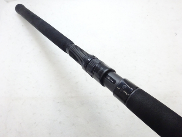 アーリープラス100M